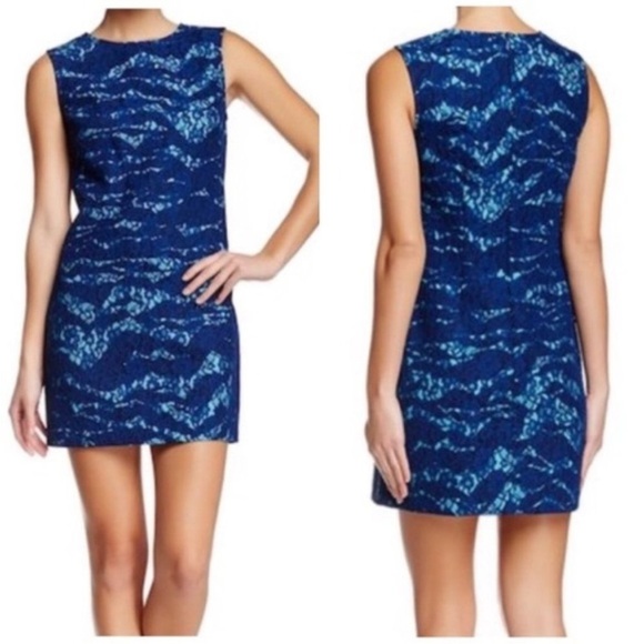 NWT Cynthia Steffe blue lace zebra pattern combo mini dress sheath size 8 - Picture 1 of 13